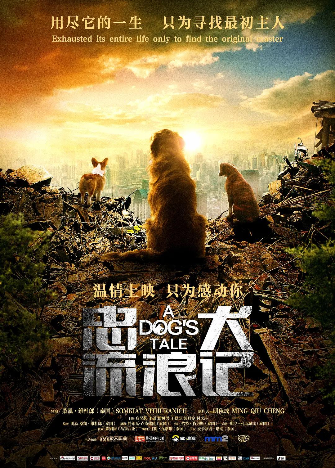 免费➕无码➕国产免费