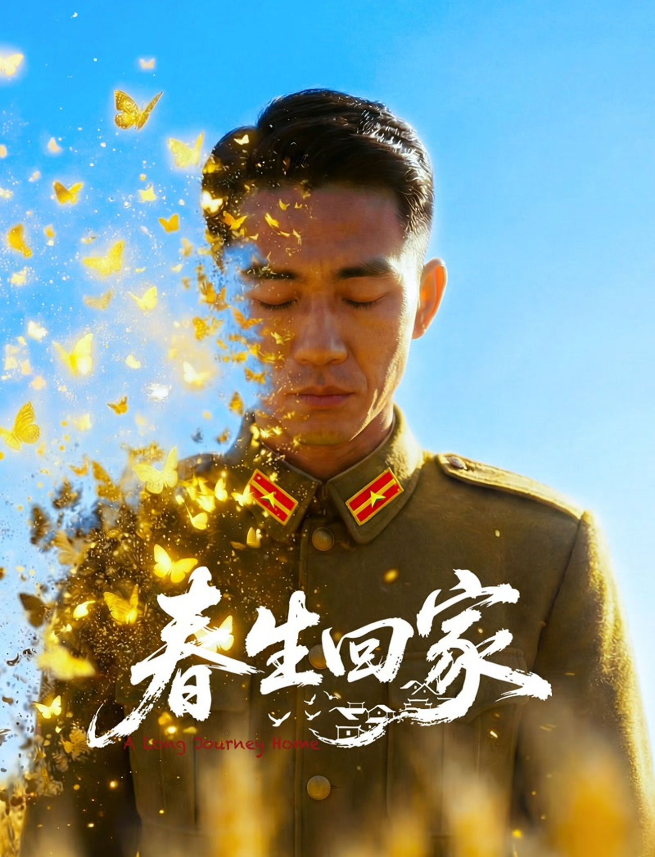 欧美成人tv在线观看免费