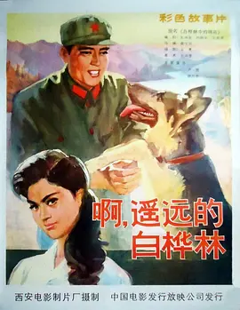 麻豆成人片女王沈樵回归