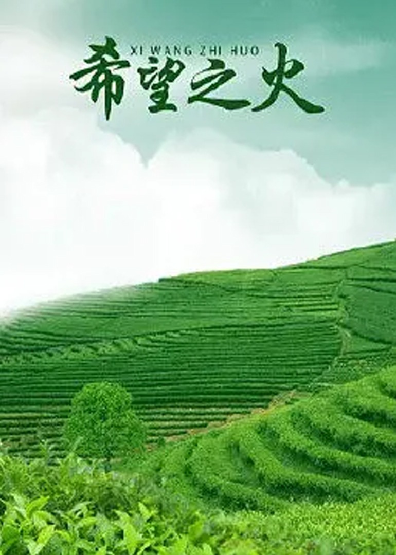 亚洲一区在线观看无码欧美