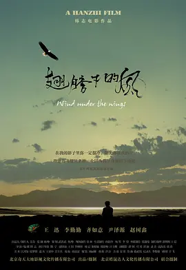 亚洲一线高清精品在线观看
