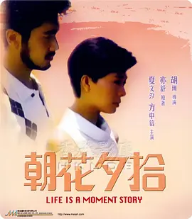 精品视频在线观看