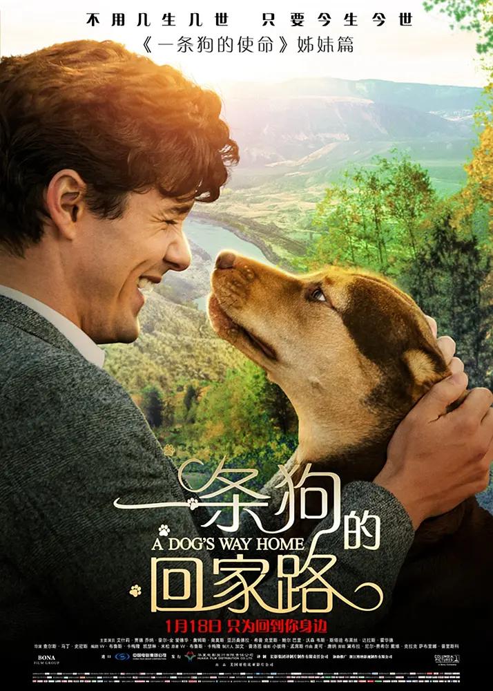艳妇荡女欲乱双飞两中年熟妇