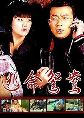 女上男下嗯啊用力视频