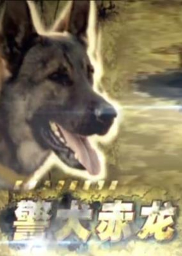 狠狠五月激情丁香