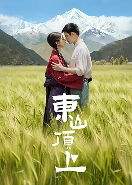 天天精品视频