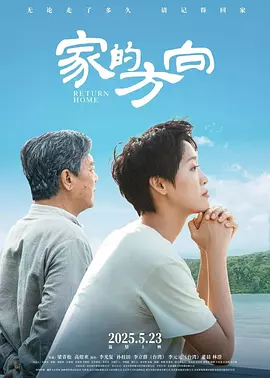 国内精品久久久久伊人aⅴ