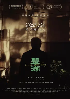 黄页网站在线播放