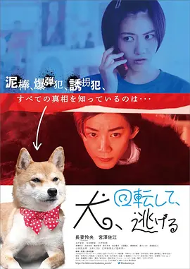 音乐畅听