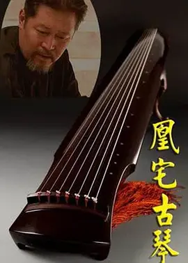 午夜成年短视频
