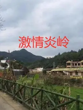 中国妓女免费视频