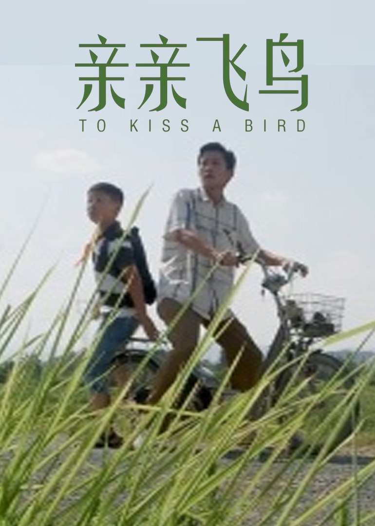 高端极品外围在线观看