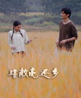 国内免费线精品一区二区在线观看