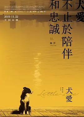 精品久久久久久国产