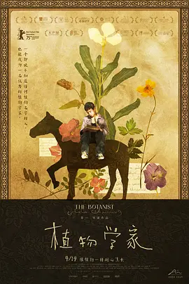官场的销魂往事小说-高清字幕国语版高清