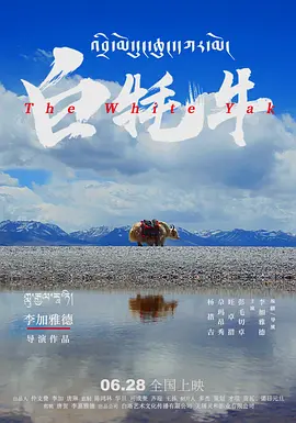 69精华国产精华精华液好用吗