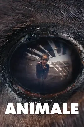 高清欧美性猛交xxxx黑人猛交