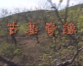 亚洲精品高清