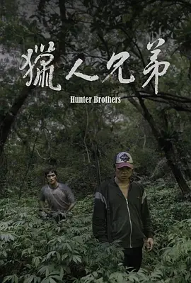 四虎视频在线精品免费网址