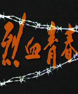 久久久久亚洲精品中文字幕